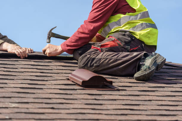 Best Roof Repair Services  in Silver Bay, MN