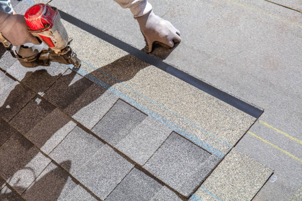 Best Roof Repair Services  in Silver Bay, MN